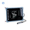 HiYi Veterinary Ultrasound CHY8 Professional Digital B-Ultrasound Diagnostic Instrument For Cattle Goat Pig Horse Dog